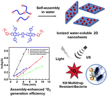 Graphical abstract: Ionized water-soluble organic nanosheets with light/ultrasound dual excitation channels for efficient killing of multidrug-resistant bacteria
