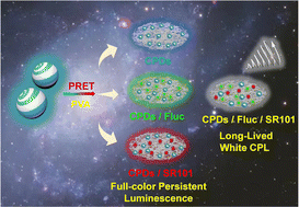 Graphical abstract: Achieving long-lived white circularly polarized luminescence from carbonized polymer dots via phosphorescence resonance energy transfer