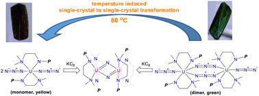 Graphical abstract: Temperature induced single-crystal to single-crystal transformation of uranium azide complexes