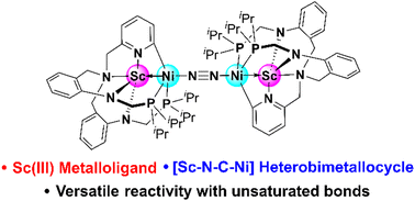 Graphical abstract: A scandium metalloligand supported Ni(0) complex with a heterobimetallocycle: versatile reactivity with unsaturated bonds