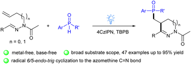 Graphical abstract: Photo-induced phosphorylation/cyclization of N-homoallyl and N-allyl aldehyde hydrazones to access phosphorylated tetrahydropyridazines and dihydropyrazoles