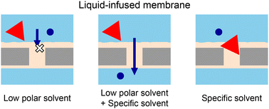 Graphical abstract: Antifouling binary liquid-infused membranes for biological sample pretreatment