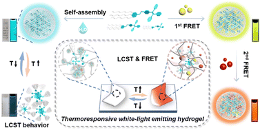 Graphical abstract: A sequential light-harvesting system with thermosensitive colorimetric emission in both aqueous solution and hydrogel