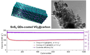 Graphical abstract: SnS2 quantum dots-coated VO2@carbon nanorods for secondary battery displaying high capacity and rate-performance