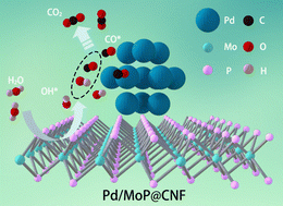 Graphical abstract: Enhanced formic acid electrolysis of Pd sites by improved OH adsorption assisted by MoP