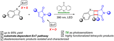 Graphical abstract: Construction of cyclobutane-fused tetracyclic skeletons via substrate-dependent EnT-enabled dearomative [2+2] cycloaddition of benzofurans (benzothiophenes)/maleimides