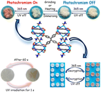 Graphical abstract: A solvent-controlled photoresponsive ionic hydrogen-bonded organic framework for encryption applications