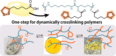 Graphical abstract: Passerini polymerization of α-lipoic acid for dynamically crosslinking 1,2-dithiolane-functionalized polymers