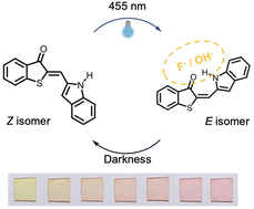 Graphical abstract: Ion-selective response of visible light photoswitchable indole-hemithioindigo: toward chemical sensing of fluoride and hydroxide