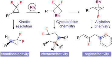 Graphical abstract: Selectivity in Rh-catalysis with gem-difluorinated cyclopropanes