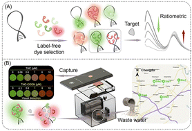Graphical abstract: A simple aptamer-dye fluorescence sensor for detecting Δ9-tetrahydrocannabinol and its metabolite in urban sewage