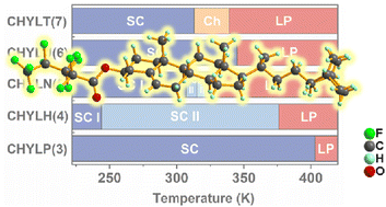 Graphical abstract: Modulating the ferroelectric phases in cholesteryl-based organic compounds with perfluoroalkyl tail engineering