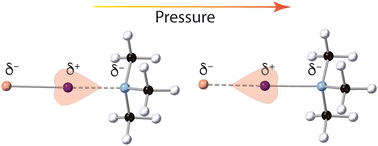 Graphical abstract: Exploring the full range of N⋯I⋯X halogen-bonding interactions within a single compound using pressure