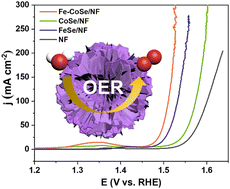 Graphical abstract: Construction of amorphous/crystalline Fe doped CoSe for effective electrocatalytic oxygen evolution