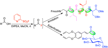Graphical abstract: Deoxyfluorinated amidation and esterification of carboxylic acid by pyridinesulfonyl fluoride