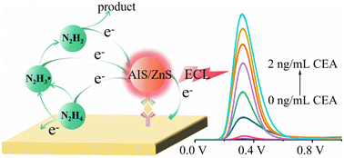 Graphical abstract: Potential-selective electrochemiluminescence of AgInS2/ZnS nanocrystals and its immunoassay application