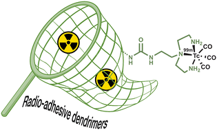 Graphical abstract: Ligand-free 99mTc-polyurea dendrimer complexes: nanoradiotheranostics targeting ovarian cancer