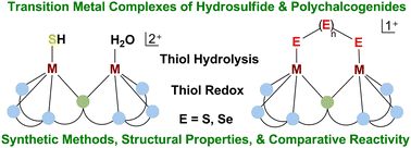 Graphical abstract: Nonheme binuclear transition metal complexes with hydrosulfide and polychalcogenides