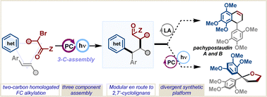 Graphical abstract: A two carbon homologation of Friedel–Crafts alkylation enabled by photochemical alkene stitching: modular assembly of cyclolignans