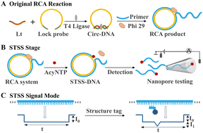 Graphical abstract: The single strand template shortening strategy improves the sensitivity and specificity of solid-state nanopore detection