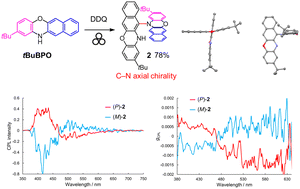 Graphical abstract: Solvent-free synthesis and chiroptical properties of a C–N axially chiral cruciform dimer of benzo[b]phenoxazine
