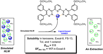 Graphical abstract: A hydrolytically stable complexant for minor An separation from Ln in process relevant diluents