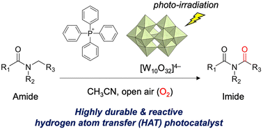 Graphical abstract: Photocatalytic aerobic α-oxygenation of amides to imides using a highly durable decatungstate tetraphenylphosphonium salt