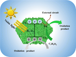 Graphical abstract: Bi2Te3 nanosheets promoted Pd for ethylene glycol electrooxidation both in the dark and under visible light irradiation