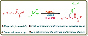 Graphical abstract: Palladium-catalyzed site-selective functionalization of unactivated alkenes with vinylcyclopropanes aided by weakly coordinating native amides