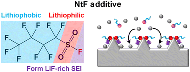 Graphical abstract: A bifunctional surfactant-like electrolyte additive for a stable lithium metal anode