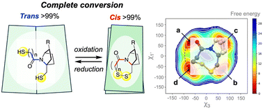 Graphical abstract: Complete amide cis–trans switching synchronized with disulfide bond formation and cleavage in a proline-mimicking system