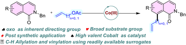 Graphical abstract: Inherent directing group-enabled Co(iii)-catalyzed C–H allylation/vinylation of isoquinolones