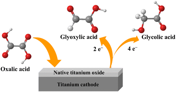 Graphical abstract: Evaluating the native oxide of titanium as an electrocatalyst for oxalic acid reduction
