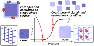 Graphical abstract: CO2-induced gate-opening structural transition process of a porous coordination polymer revealed by solid-state 13C NMR