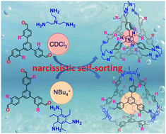 Graphical abstract: Guest-induced narcissistic self-sorting in water via imine formation