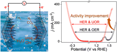 Graphical abstract: A hierarchical CoSx/Ni(OH)2 heterostructure as a bifunctional electrocatalyst for urea-assisted energy-efficient hydrogen production