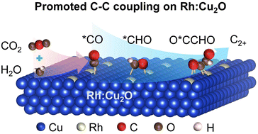 Graphical abstract: Promoting C–C coupling for CO2 reduction on Cu2O electrocatalysts with atomically dispersed Rh atoms