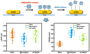 Graphical abstract: Tuning of chemical interface damping in single gold nanorods through pH-dependent host–guest interactions using cucurbit[6]uril