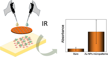 Graphical abstract: Enhanced label-free detection of proteins on Au nanoparticle micropatterns for surface-enhanced infrared absorption spectroscopy