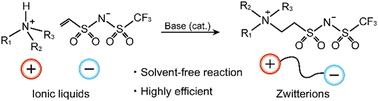 Graphical abstract: Solvent-free transformation of protic ionic liquids into zwitterions