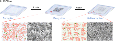 Graphical abstract: A thermo-responsive hydrogel for body temperature-induced spontaneous information decryption and self-encryption