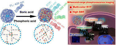 Graphical abstract: Mineral acid-triggered multicolor room-temperature phosphorescence nanoprobes for time-resolved bioimaging