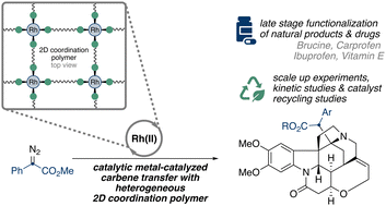 Graphical abstract: Unlocking catalytic potential: a rhodium(ii)-based coordination polymer for efficient carbene transfer reactions with donor/acceptor diazoalkanes