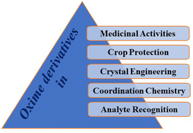 Graphical abstract: A review on oxime functionality: an ordinary functional group with significant impacts in supramolecular chemistry