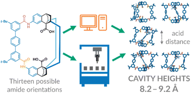 Graphical abstract: Exploration of the polymorphic solid-state landscape of an amide-linked organic cage using computation and automation