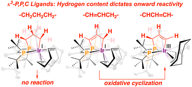 Graphical abstract: Tridentate κ3-P,P,C iridium complexes: influence of ligand saturation on intramolecular C–H bond activation