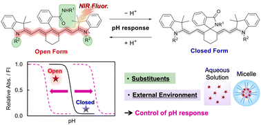 Graphical abstract: Rational design of pH-responsive near-infrared spirocyclic cyanines: the effects of substituents and the external environment