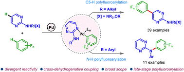 Graphical abstract: Substrate-controlled divergent remote C–H and N–H polyfluoroarylation of 2-aminopyrimidines with polyfluoroarenes via Pd(ii)/Pd(0) catalysis