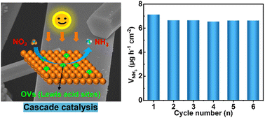 Graphical abstract: Understanding the cascade heterojunction of CuPc/Bi-MOF for photoelectrochemical nitrate reduction