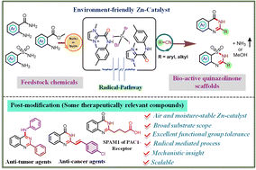 Graphical abstract: Synthesis of quinazolinone scaffolds via a zinc(ii)-stabilized amidyl radical-promoted deaminative approach